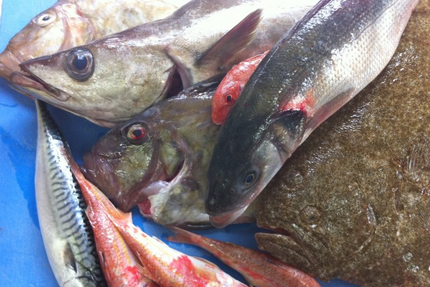 As de Trèfle restaurant gastronomique et véranda à déguster Caen/Bernières sur mer.