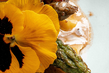 Les Loges du Jardin d'Aymeric