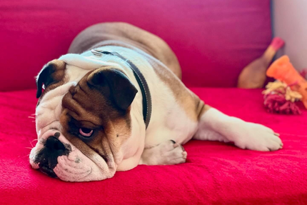 La Barrière de Clichy