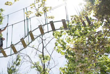 Le Collectionneur Gourmand