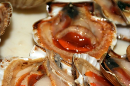 L'Azimut La Trinité sur Mer