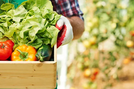 Le Memphré - Bagels & Co