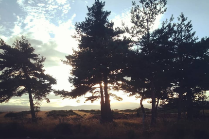 Le Comptoir de Payzac