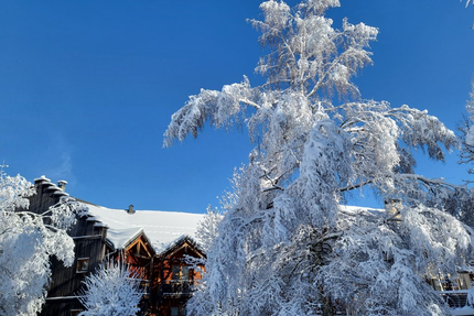 Asterales Restaurant