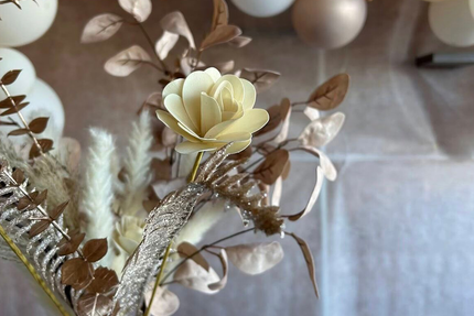 A Furcina Burghisgiana