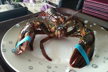 Restaurant Le Chalut