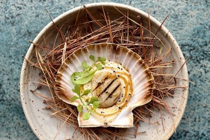 Table d'hôtes Villa Haute Guais