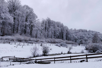 Auberge De L'Etanchotte