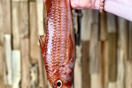 La table d'Aurélien Largeau