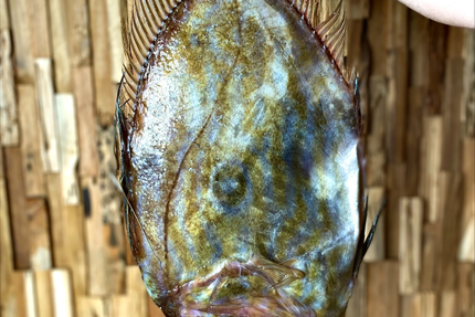 La table d'Aurélien Largeau