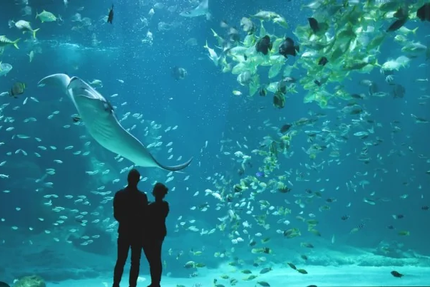 Restaurant Le Carnot