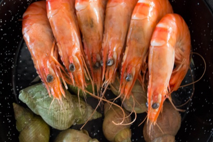 LE BISTROT DU PECHEUR - PLAISANCE DU TOUCH
