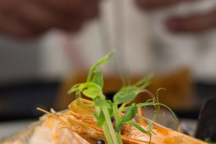 LE BISTROT DU PECHEUR - PLAISANCE DU TOUCH