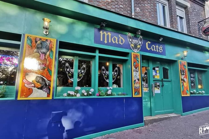 Mad Cats
