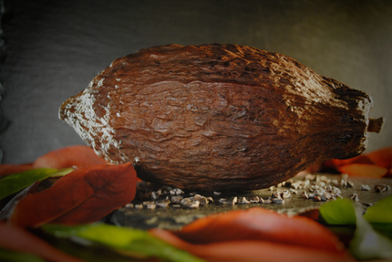 Snack - Haut Saveurs de Verthier