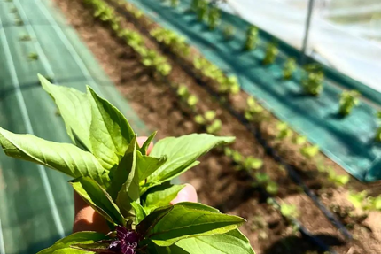 Le Bistro du Clocher