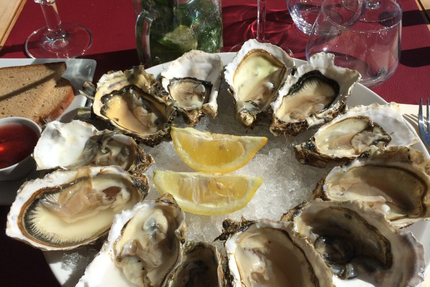 Le MG par Cécile et Grégory Doucey