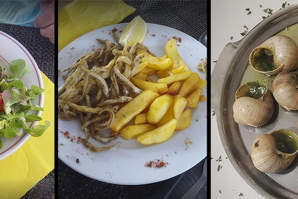 Restaurant LA CAMARGUE