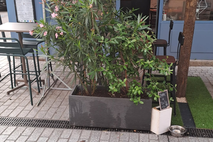 La table des Cocottes