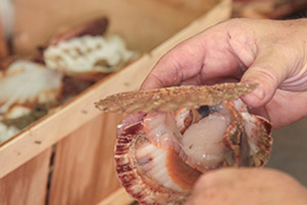 Restaurant L'Océanic Chinon 37