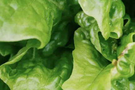 IZEE Hôpital Morvan