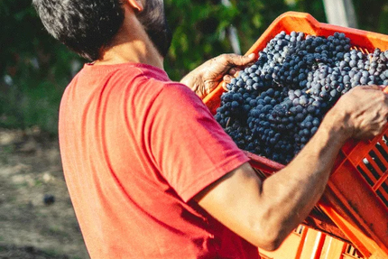 La Braise - Chamonix