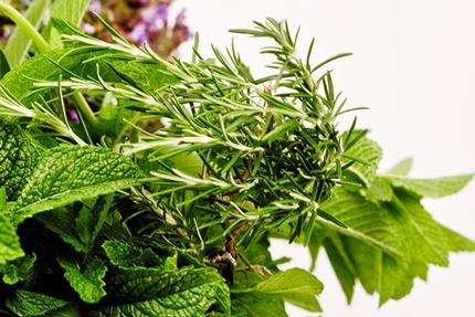 Restaurant Carpe Diem bistrot gourmand