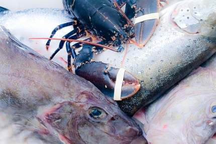 Restaurant Carpe Diem bistrot gourmand