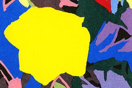 Les vignes d'Hortense