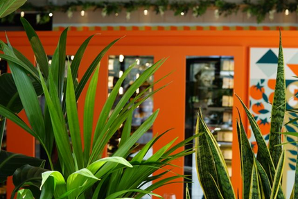 Frenzi Restaurant - Montaigu