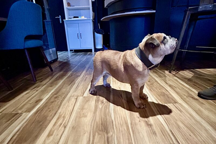 Restaurant Côté Balcon