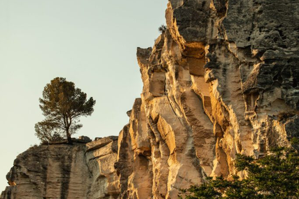 Restaurant L'Oustau de Baumanière***