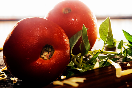 Histoire sans Faim | Restaurant bistronomique à Saint-Etienne