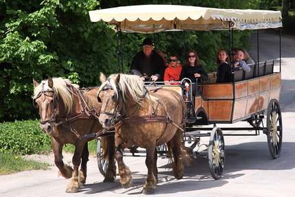 Les Calèches du Saut du Doubs