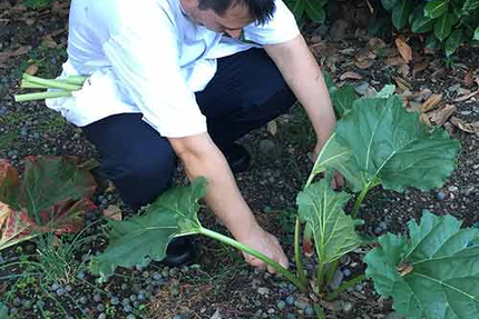 L'OPALINE Restaurant