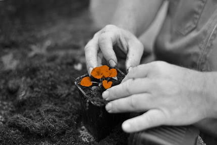 Balafenn - Restaurant & café