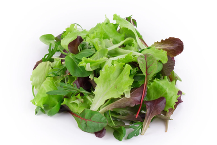 Just'salad Saint-Maur-des-Fossés