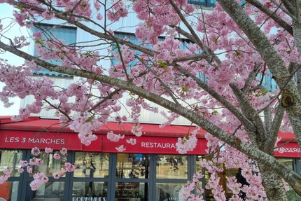 Brasserie Les 3 Marches