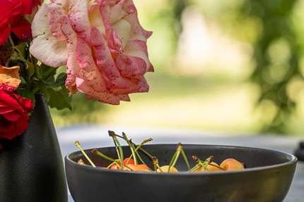 Le Clos Saint Martin - La Métairie