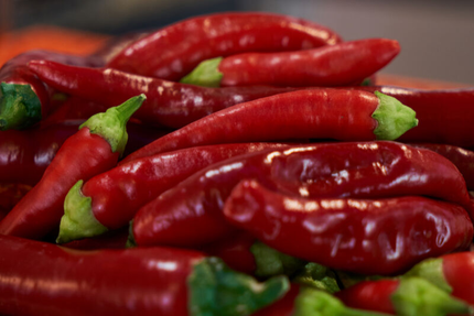 PIZZERIA TRATTORIA CALABRIA