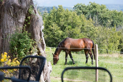 Restaurant Marius Biarritz