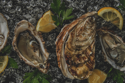 Huîtrière de Fromentine/ David LECOSSOIS / Eleveur - Expéditeur