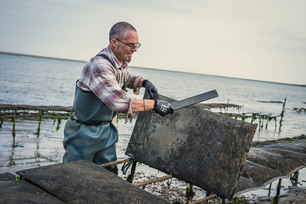 Huîtrière de Fromentine/ David LECOSSOIS / Eleveur - Expéditeur