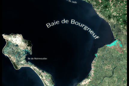 Huîtrière de Fromentine/ David LECOSSOIS / Eleveur - Expéditeur