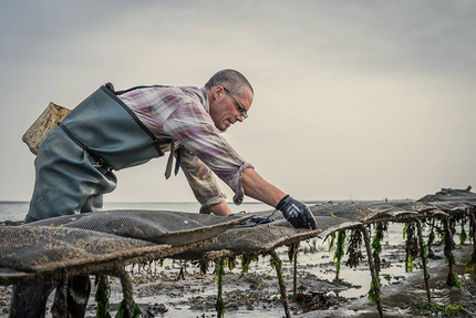Huîtrière de Fromentine/ David LECOSSOIS / Eleveur - Expéditeur