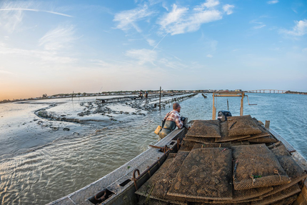 Huîtrière de Fromentine/ David LECOSSOIS / Eleveur - Expéditeur