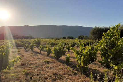Lobamas x Poc a poc - Cuisine et Vin - Restaurant à Paziols