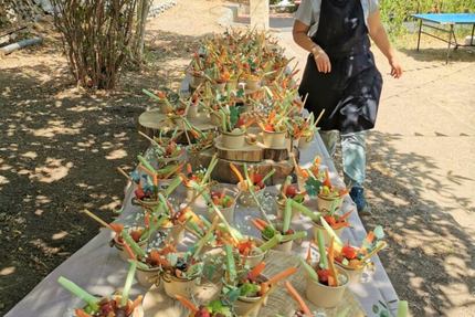 Lobamas x Poc a poc - Cuisine et Vin - Restaurant à Paziols