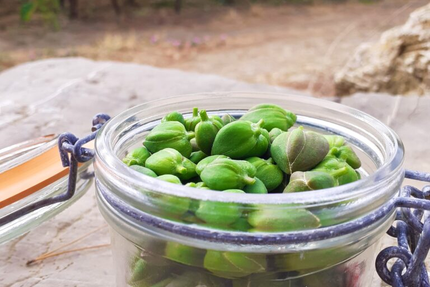 Lobamas x Poc a poc - Cuisine et Vin - Restaurant à Paziols