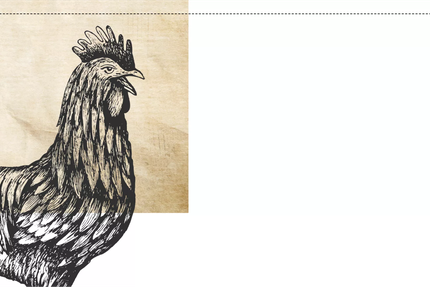 Ced & Alex - L'Atelier